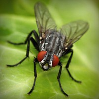 /album/cleraggingey/photolia-a01-jpg/