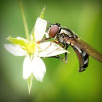 /album/cleraggingey/photolia-a02-jpg/