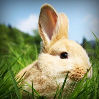 /album/cleraggingey/photolia-a03-jpg/