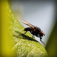 /album/cleraggingey/photolia-a04-jpg/