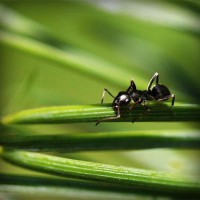 /album/cleraggingey/photolia-a05-jpg/