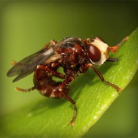 /album/cleraggingey/photolia-a06-jpg/