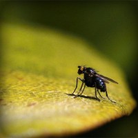 /album/cleraggingey/photolia-a07-jpg/