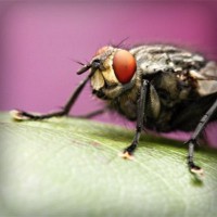 /album/cleraggingey/photolia-a08-jpg/